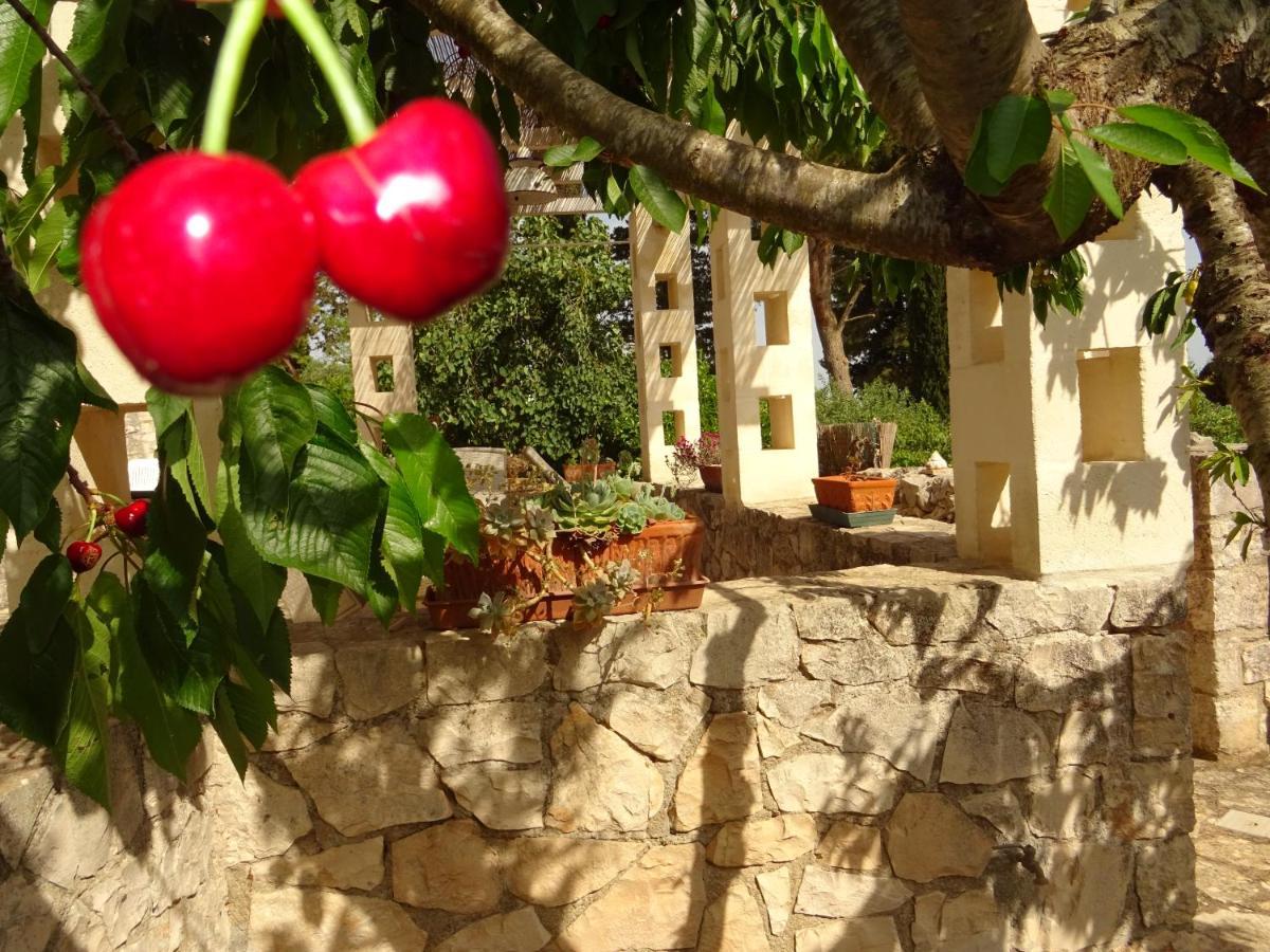 Country house Trulli Di Zia Tata Locorotondo
